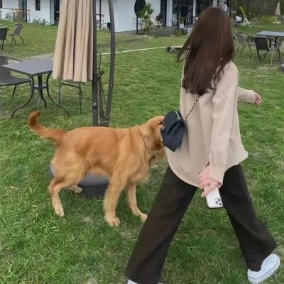 偷窥课程